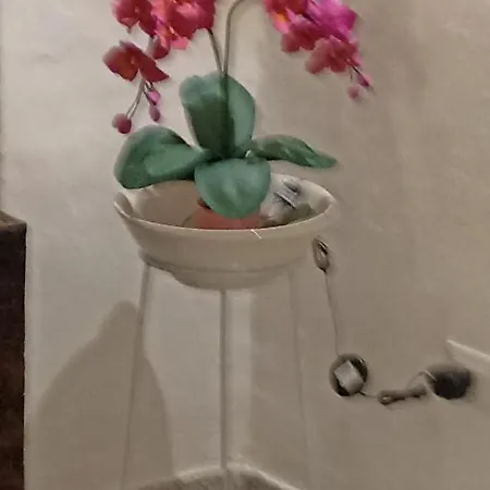 Apartamento Fichi D India Cellino San Marco