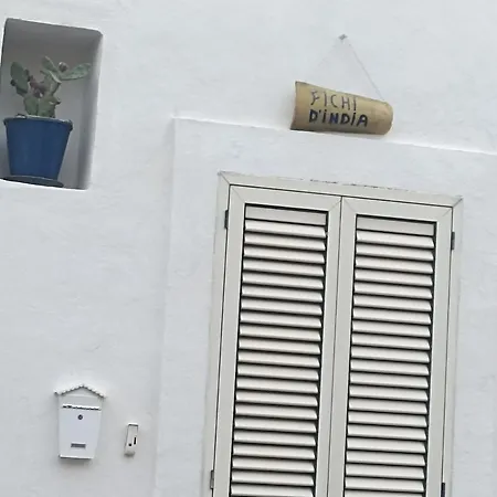 Fichi D India * Cellino San Marco