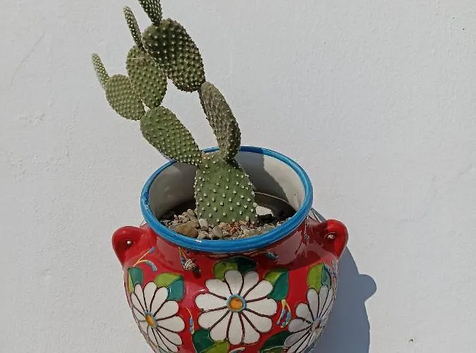 Appartamento Fichi D India *